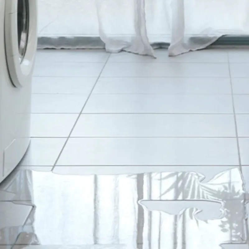 Appliance Leak Cleanup in Arcadia, SC